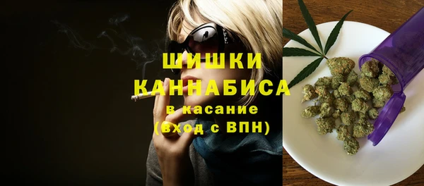 стафф Надым