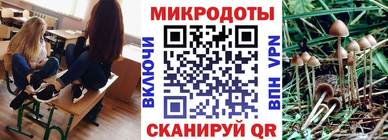 Псилоцибиновые грибы Cubensis  Владимир 