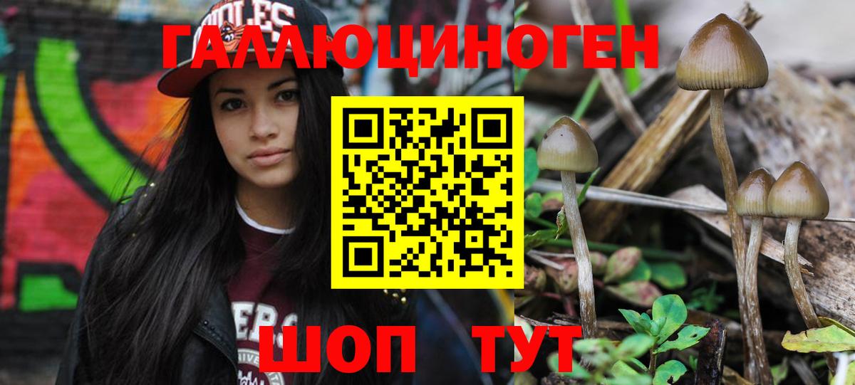 Галлюциногенные грибы ЛСД  Владимир 