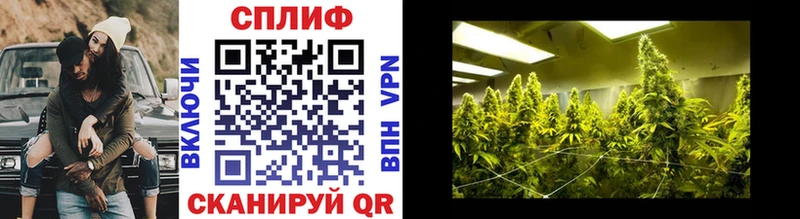 Канабис White Widow  цены   Владимир 